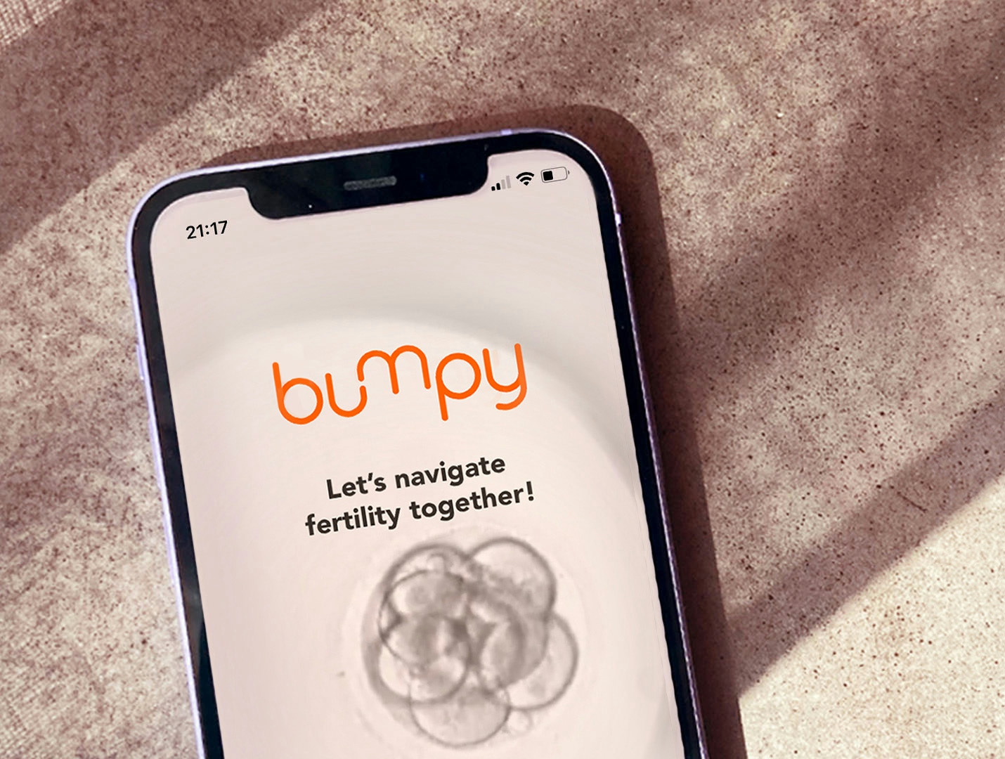 bumpy-webportal